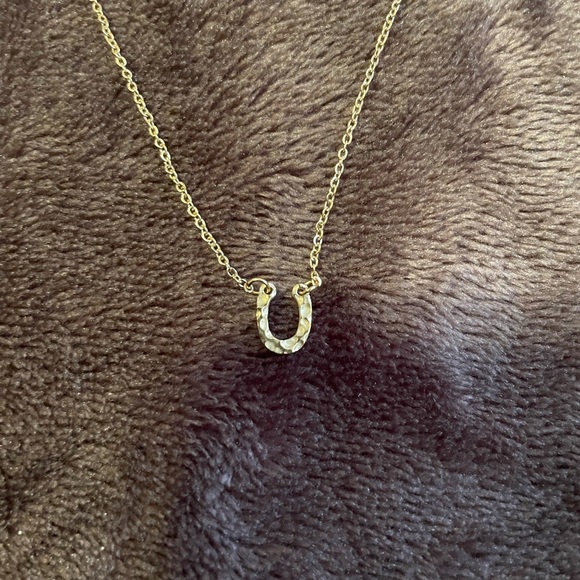 - 🌟HOST PICK🌟New Stainless Steel Horseshoe Necklace - Picture 6 of 9